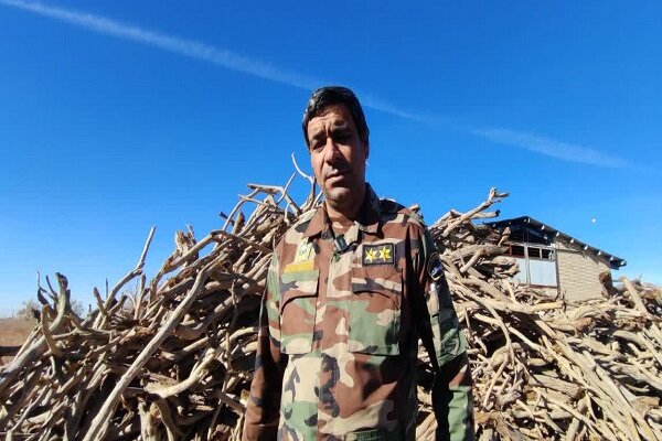 کشف ۲۳ تن چوب قاچاق در شهرستان سرایان