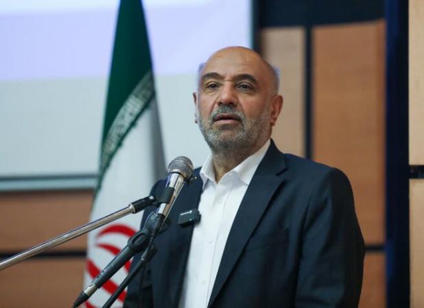 وزیر کار: اجرای طرح مسکن کارگری و بیمه قالیبافان در دستور کار است