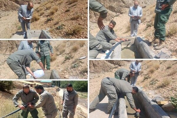 توزیع ۱۶۰ گالن ضدعفونی‌کننده برای پیشگیری از بیماری در حیات وحش تهران