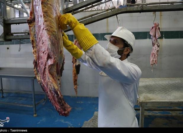وزارت بهداشت: از ذبح دام در معابر عمومی خودداری کنید