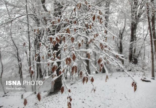 تداوم سرمای شدید و مه در آذربایجان‌شرقی