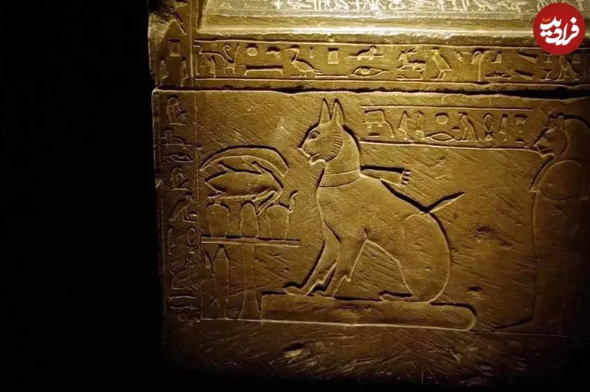 مشهورترین گربه‌‌های تاریخ که دنیا را شگفت‌زده کردند