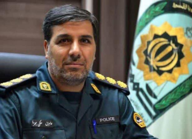 پویا: ۴۲ هزار راس دام غیرمجاز از مراتع استان مرکزی اخراج شد