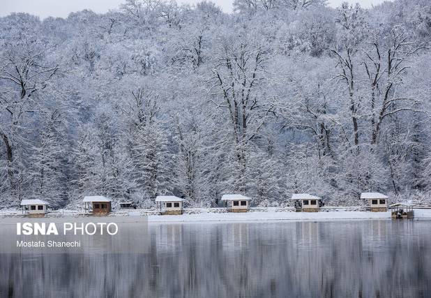برف و کولاک؛ مهمان آخر هفته گیلان