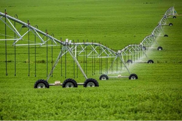 چرا ارز حاصل از صادرات به کشور باز نمی گردد؟