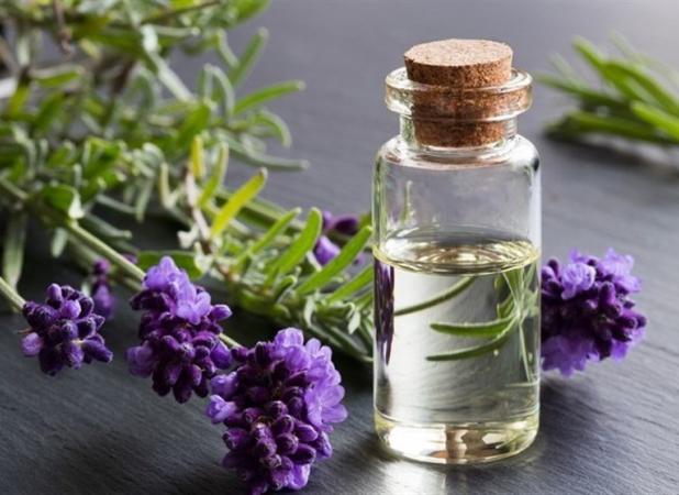 داروهای گیاهی می‌توانند عارضه داشته باشند/ منع مصرف داروهای گیاهی در زنان باردار
