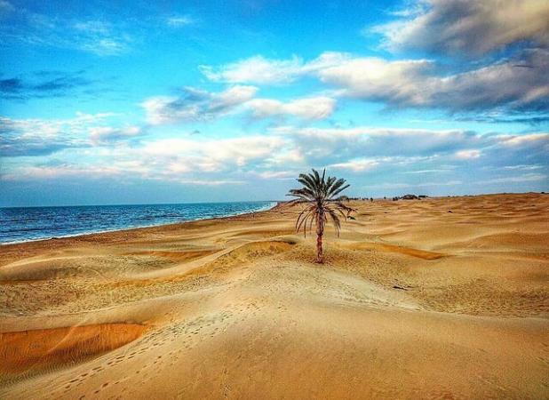 طلایی‌ترین سواحل ایران در گرم‌ترین نقطه کشور