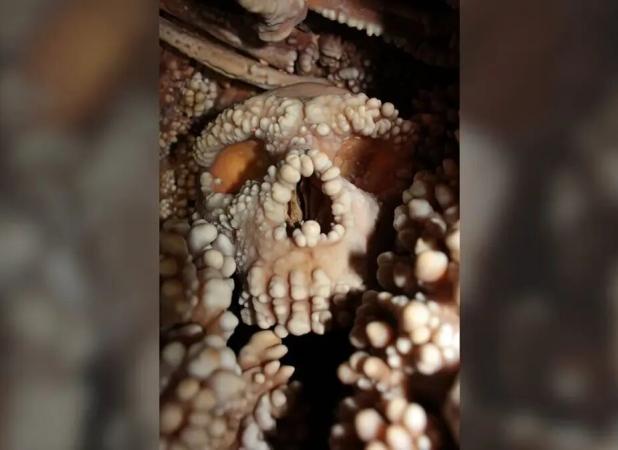 فاش شدن راز انسان‌هایی با جمجمه ۱۳۰ هزار ساله