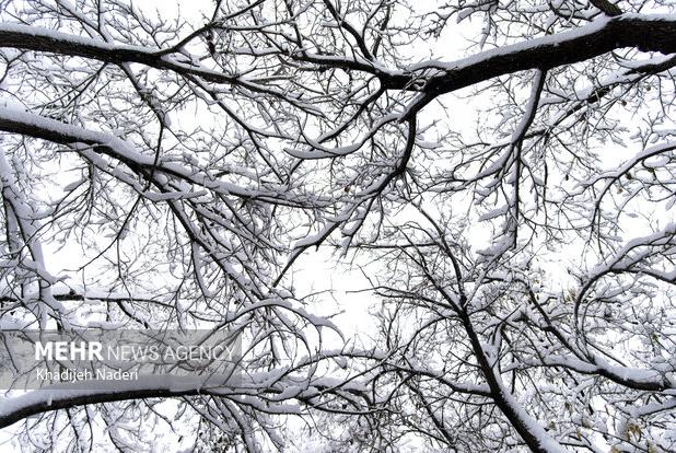 تعطیلی نوبت صبح مدارس سلفچگان، خلجستان و قاهان در روز شنبه ۲۹ آذرماه