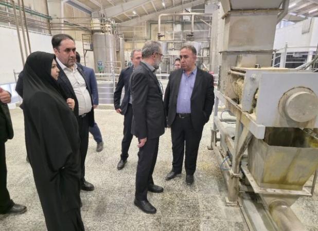 مدیرعامل صندوق حمایت از سرمایه‌گذاری صنایع کوچک: صنایع کوچک نقش کلیدی در اقتصاد کشور دارند