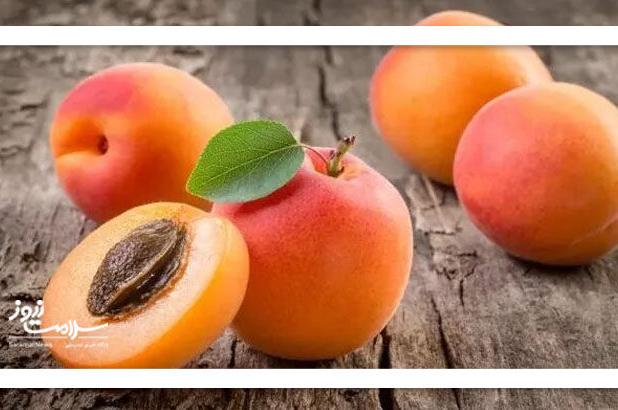 خواص شگفت‌انگیز هسته زردآلو؛ خوشمزه اما پرخطر!