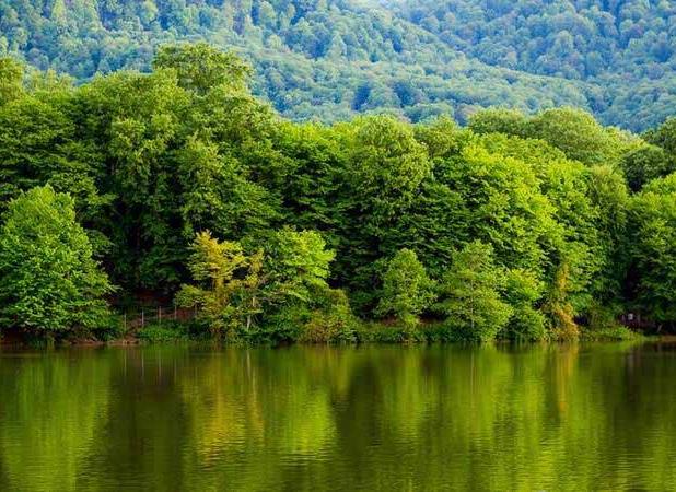 شناسایی منبع پنهان آب در جنگل‌های شمال