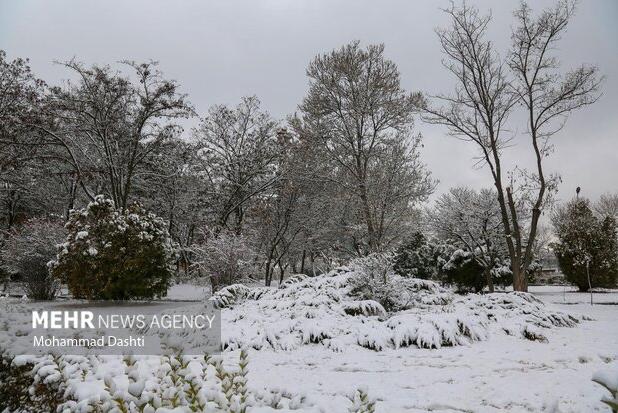 بارش برف پاییزی در اهر
