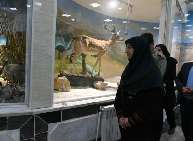 موزه‌های تاریخ طبیعی نقش مهمی در ارتقای آگاهی عمومی دارد