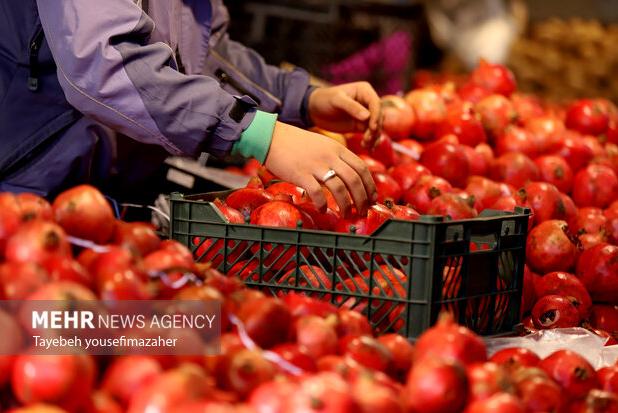 دادستان رودهن: با گران‌فروشان شب یلدا برخورد قاطع می‌شود