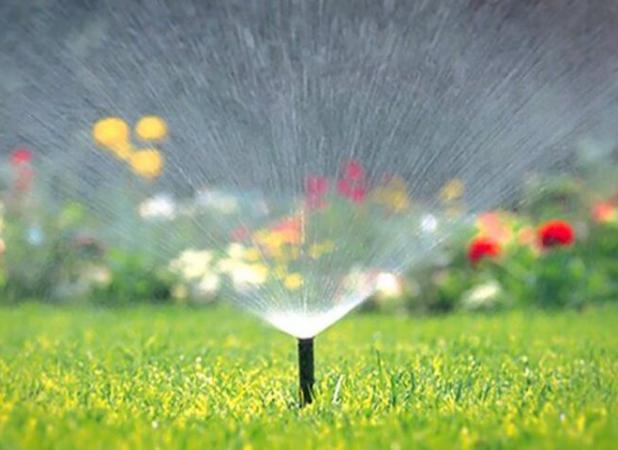 بحران تأمین آب برای فضای سبز قوچان