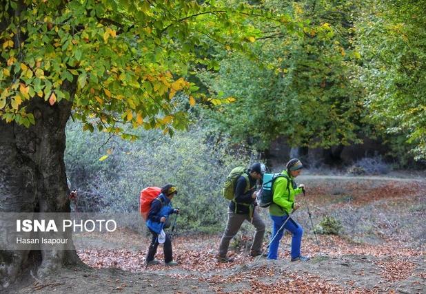 دانش‌آموخته دکترای محیط زیست: کوهنوردان در خط مقدم حفاظت از زیست‌بوم‌های مرتفع باشند