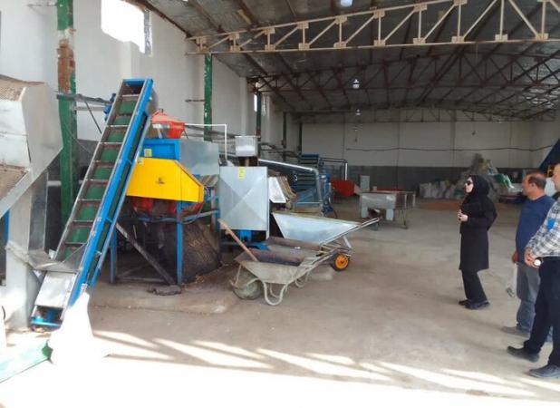 صدور پروانه بهره‌برداری واحد فرآوری پسته در دامغان؛ ۷ نفر شاغل شدند