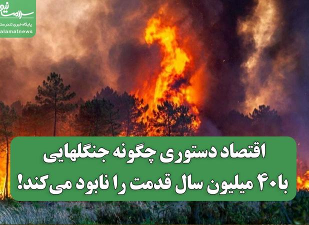 اقتصاد دستوری چگونه جنگلهایی با۴۰ میلیون سال قدمت را نابود می‌کند!