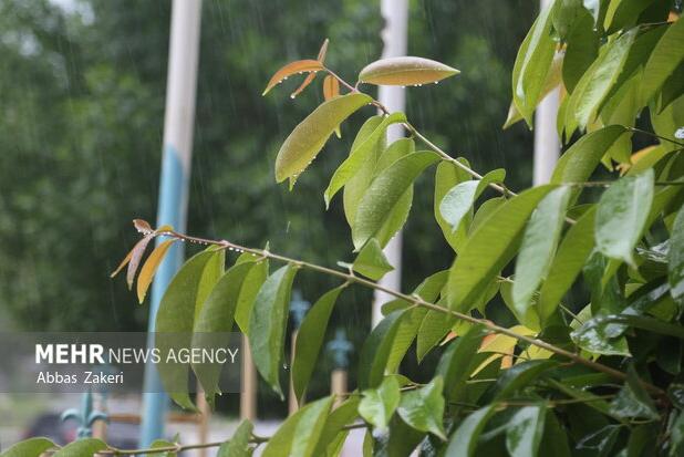 ورود موج اصلی بارش ها به هشتبندی هرمزگان