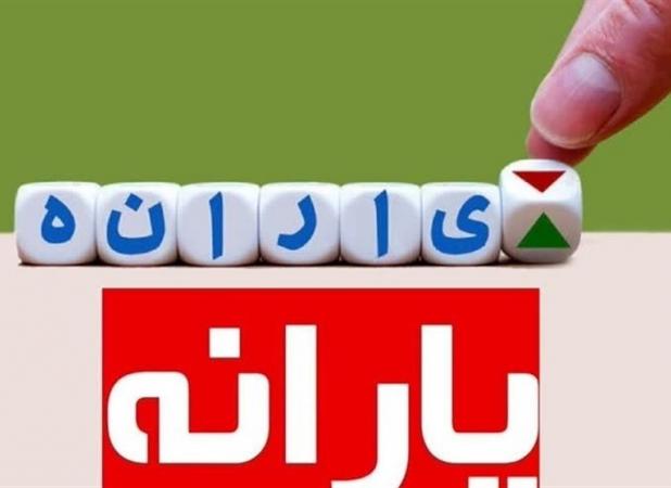 جزئیات تامین ۲۱۲ همت کسری هدفمندسازی با تنخواه و استقراض