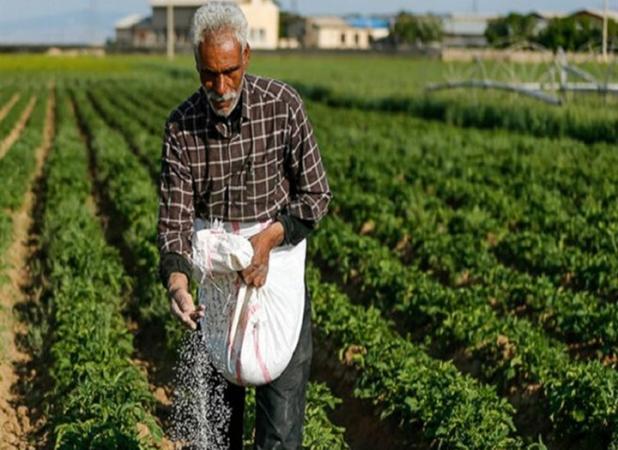 آغاز همکاری «فائو» با ایران برای افزایش بهره‌وری تولید