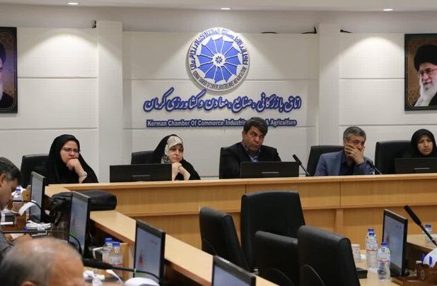 آغاز مسیر تازه هم افزایی دولت و بخش خصوصی در استان کرمان