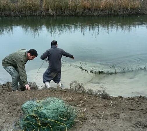 برخورد با ۳ مورد شکار غیرمجاز در مناطق مختلف اردبیل