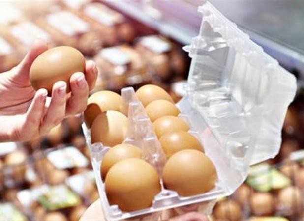 قیمت خرید حمایتی تخم مرغ اعلام شد