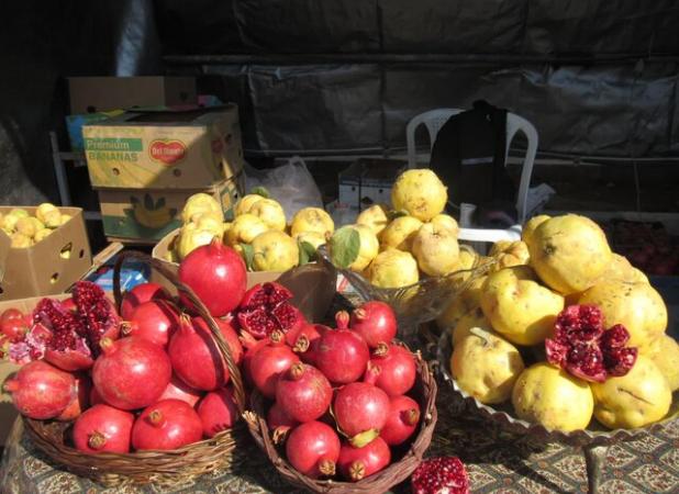 جشنواره انار جوشقان، فرصتی برای توسعه گردشگری روستایی است