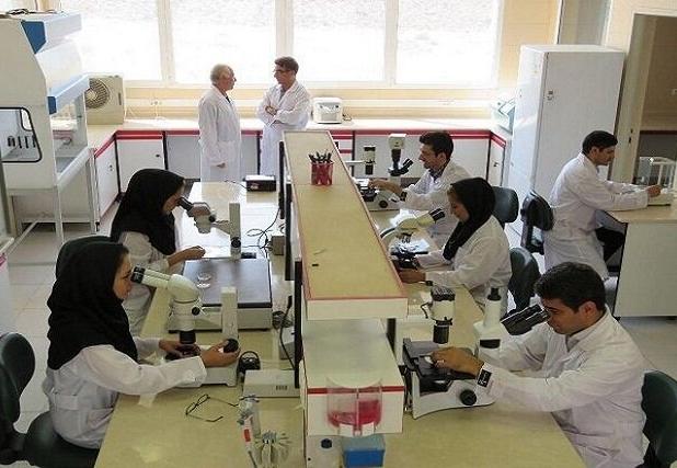 جزئیات ثبت‌نام در دو طرح حمایتی دانشجویان دکتری اعلام شد