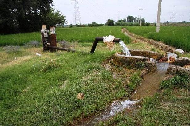 ارزیابی میدانی مشکلات آب و خاک کشاورزی خاش با حضور معاون وزیر جهاد کشاورزی