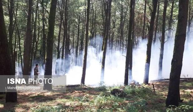حریق دوهکتاری در جنگل های آستارا مهار شد