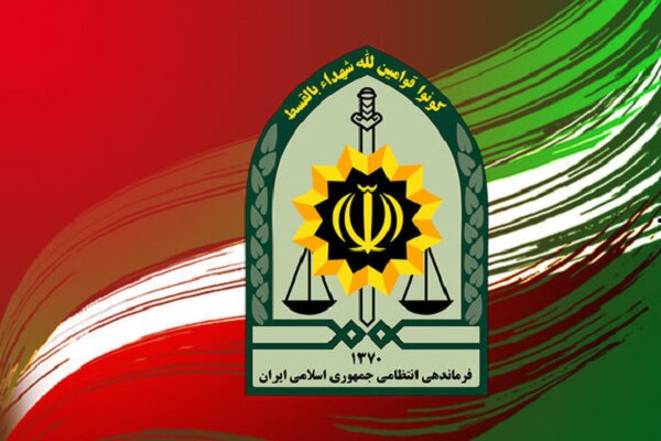 پایان سرقت‌های روستای یام با اقدام پلیس فاروج