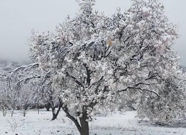 نخستین بارش پاییزی یزد در طزرجان ثبت شد