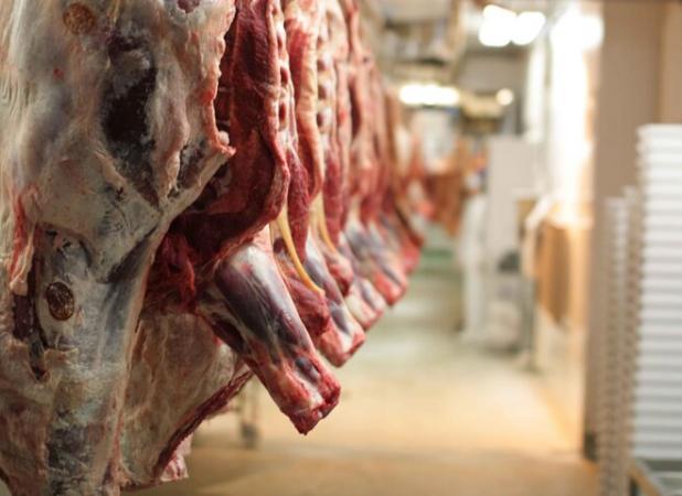 نوسازی و بهسازی کشتارگاه ۳ هزار راسی دام دوگنبدان