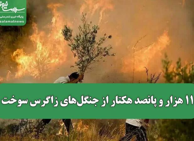 ۱۱ هزار و پانصد هکتار از جنگل‌های زاگرس سوخت