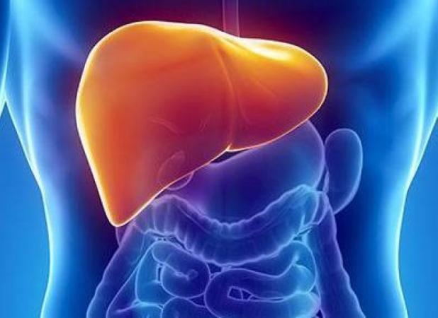 کبد چرب چند گرید دارد و علائم هر کدام چیست؟