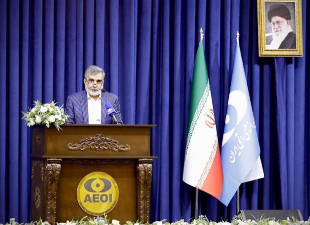 کمالوندی: براساس ان‌پی‌تی حق استفاده از فناوری هسته‌ای داریم