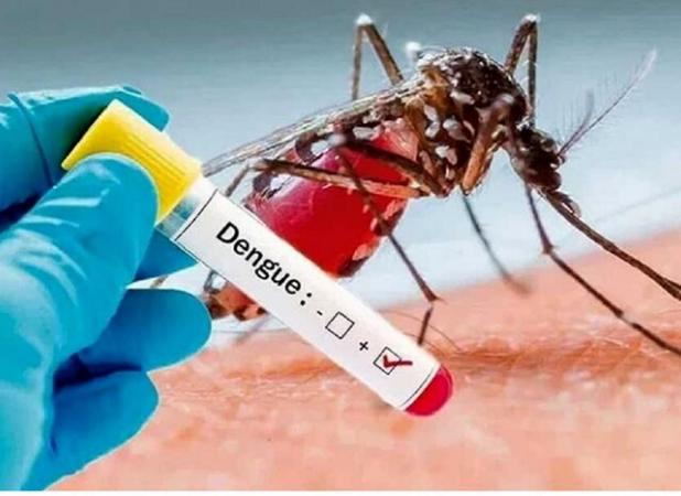 تعداد تلفات تب دنگی در بنگلادش از ۴۰۰ نفر گذشت