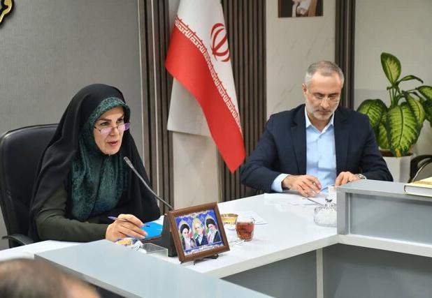 فرماندار ماکو: مشکل خطوط تلفن همراه نباید در بزرگ‌ترین منطقه آزاد کشور وجود داشته باشد