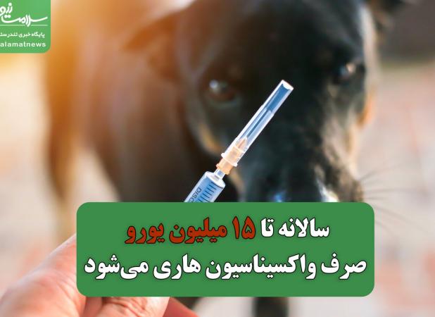 سالانه تا ۱۵ میلیون یورو صرف واکسیناسیون هاری می‌شود/موارد حیوان‌گزیدگی در کشور چهار برابر شده است
