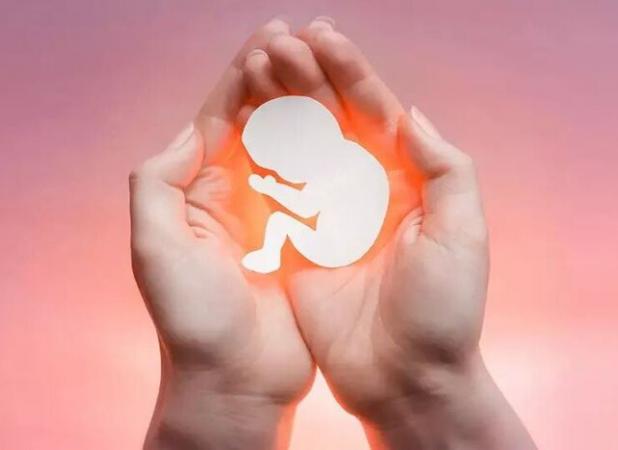 پیشگیری از سقط‌های عمدی جنین از عوامل موثر در جوانی جمعیت است