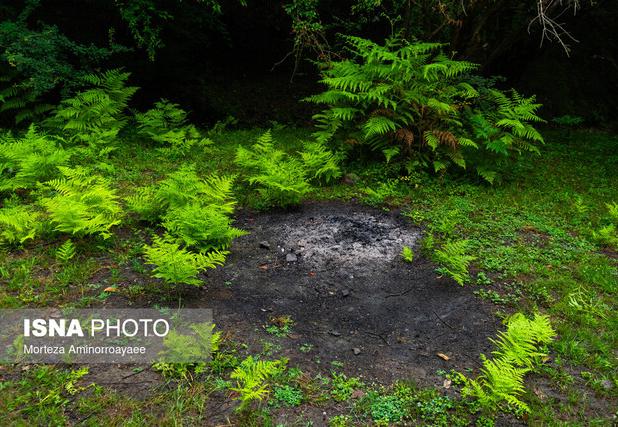 رئیس مؤسسه تحقیقات خاک و آب کشور: کاهش حاصلخیزی خاک ایران نگران‌کننده است