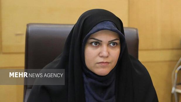 خدادادی: کاهش بودجه فرهنگ، قدرت نرم و هویت ملی را تهدید می‌کند