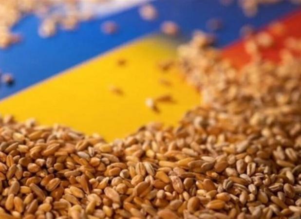محصولات کشاورزی و غذایی‌ آب‌بر مشمول عوارض صادراتی علی الحساب شد