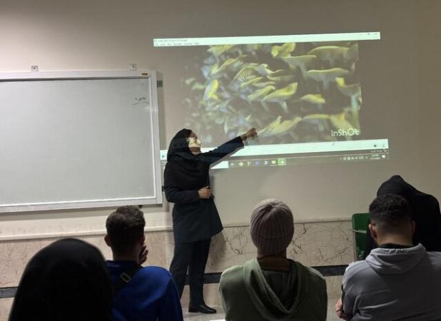 قارچ‌های توهم‌زا در چه زمینه‌هایی استفاده دارند؟