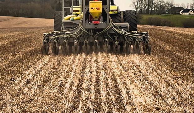 آغاز طرح پایداری تولید در دیمزارهای دهلران