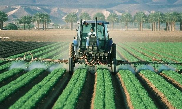 عزیزان:کشت پایلوت سویا در دهلران ایلام آغاز شد