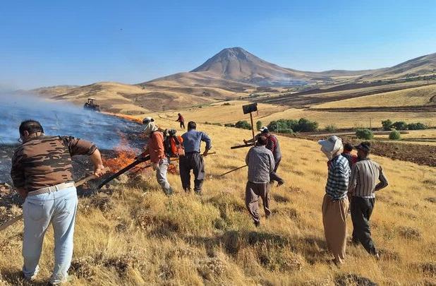اولین رأی پرونده آتش‌سوزی عمدی مزارع دهگلان صادر شد